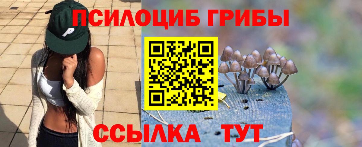 Лосино-Петровский  Галлюциногенные грибы Psilocybe  Вход с VPN 