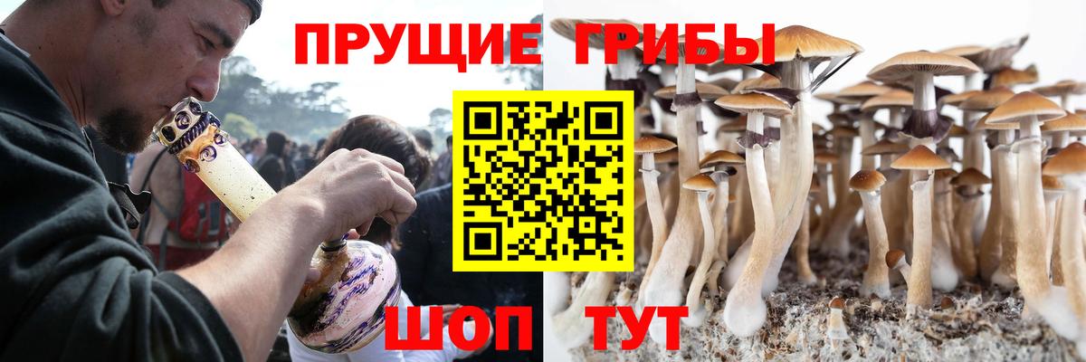 Псилоцибиновые грибы мицелий Лосино-Петровский